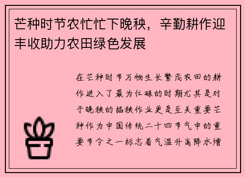 芒种时节农忙忙下晚秧，辛勤耕作迎丰收助力农田绿色发展